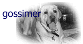 gossimer logo...