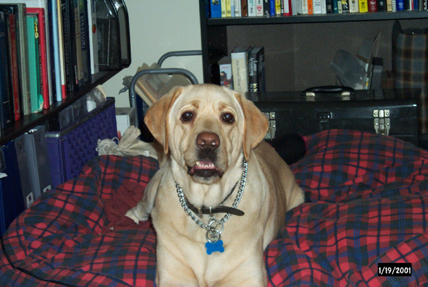 Gossimer on his bed...