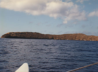 molokini crater...