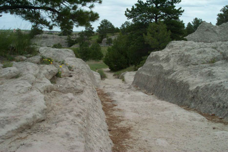 wagon trail ruts...